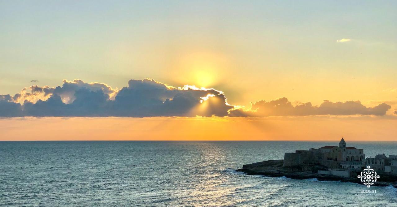 Apartmán Infinito - Attico Sul Mare Vieste Exteriér fotografie